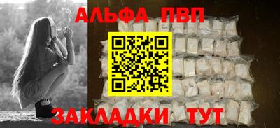 амф Кингисепп