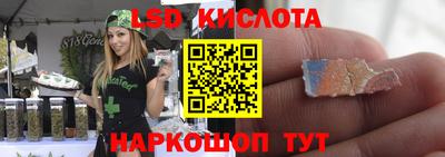 амф Кингисепп