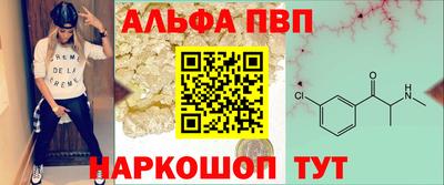 амф Кингисепп
