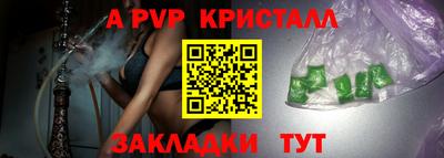 амф Кингисепп