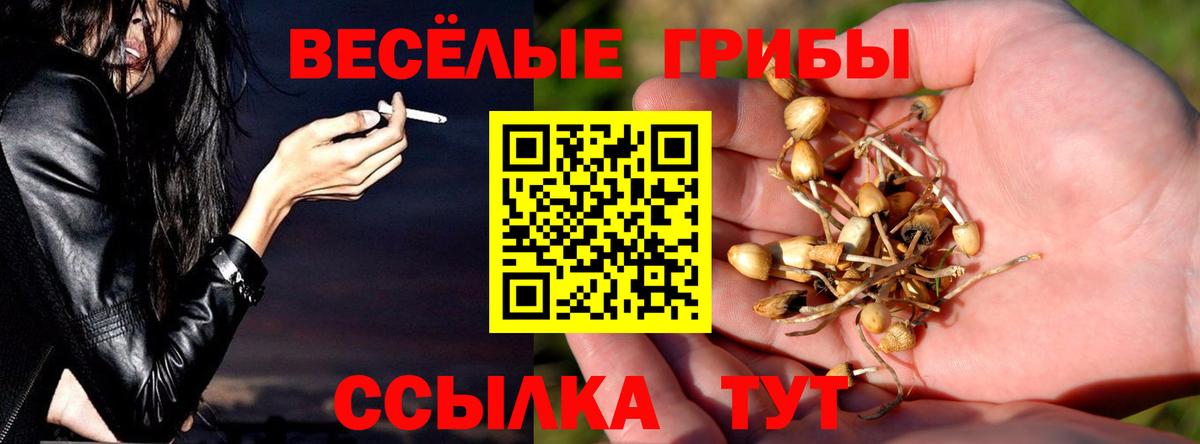 Галлюциногенные грибы Cubensis Кызыл