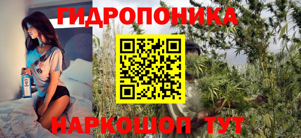 МАРИХУАНА гибрид Кызыл